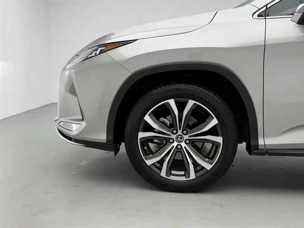 Lexus RX 2020 300 AWD Elegance Edition China V фото 19