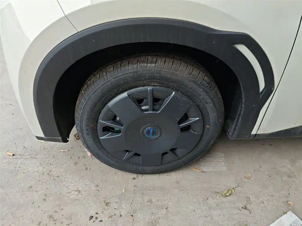 BYD Seagull 2025 Smart Drive Edition 305km Vitality Version фото 23