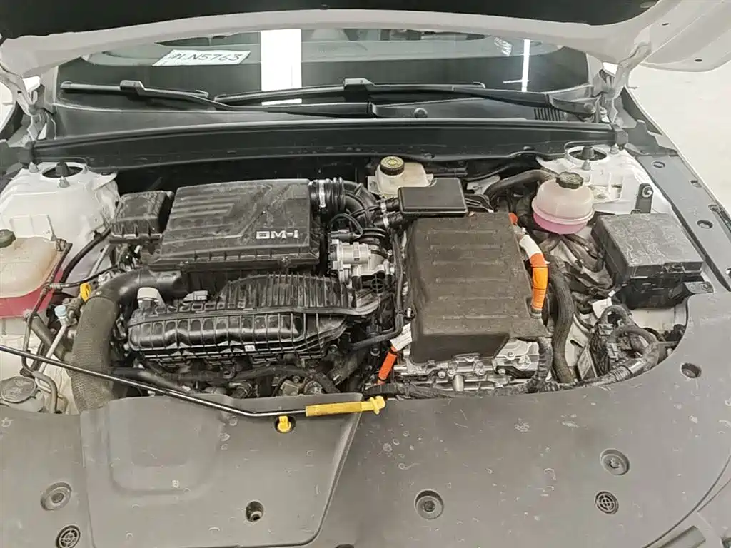 BYD Destroyer 05 2024 Glory Edition DM-i 55KM Luxury фото 20
