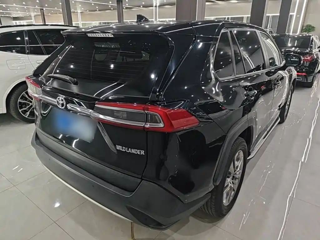 Toyota Wildlander 2020 2020 2.0L CVT 2WD Luxury Edition