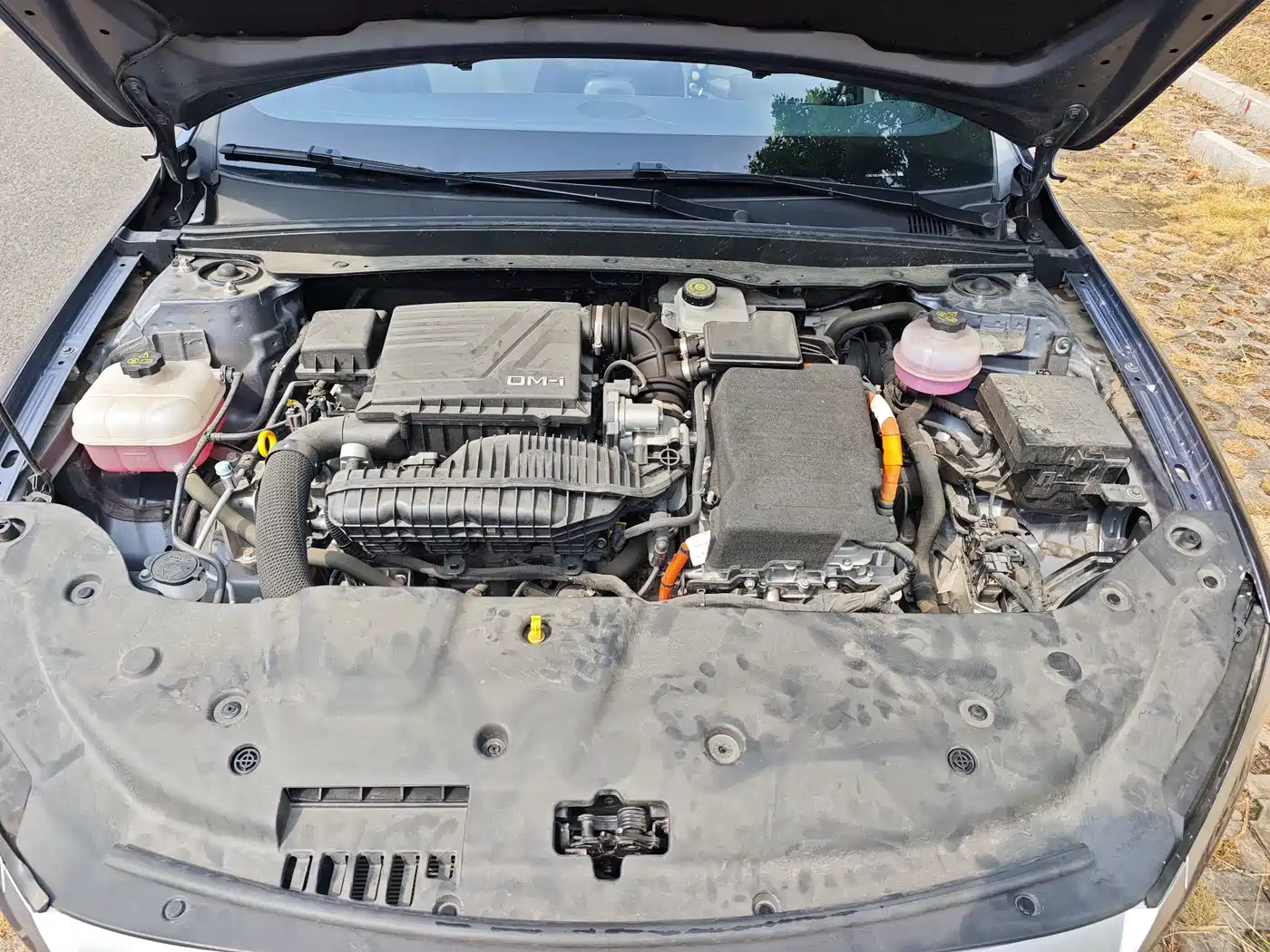 Фото 22 - BYD Qin PLUS