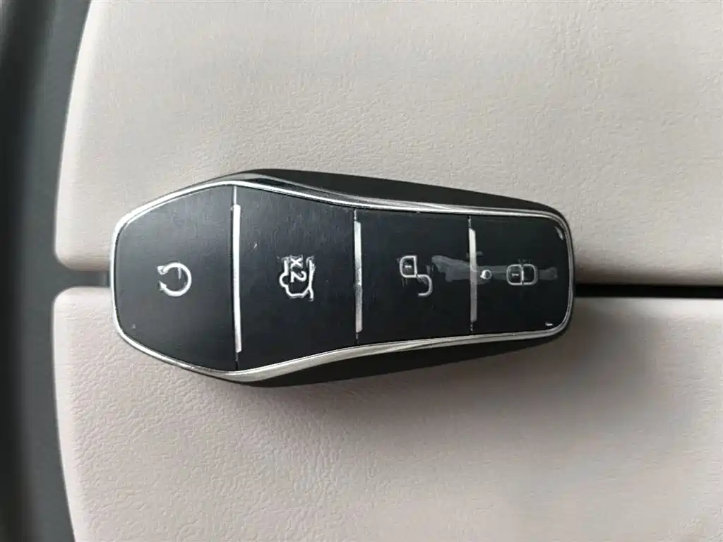BYD Tang New Energy 2024 DM-i Honor Edition 112KM Premium фото 8