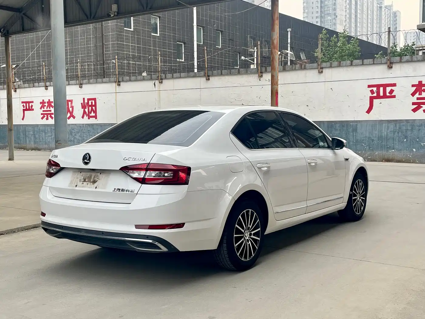 Škoda Octavia 2018 1.6L Automatic Luxury фото 17