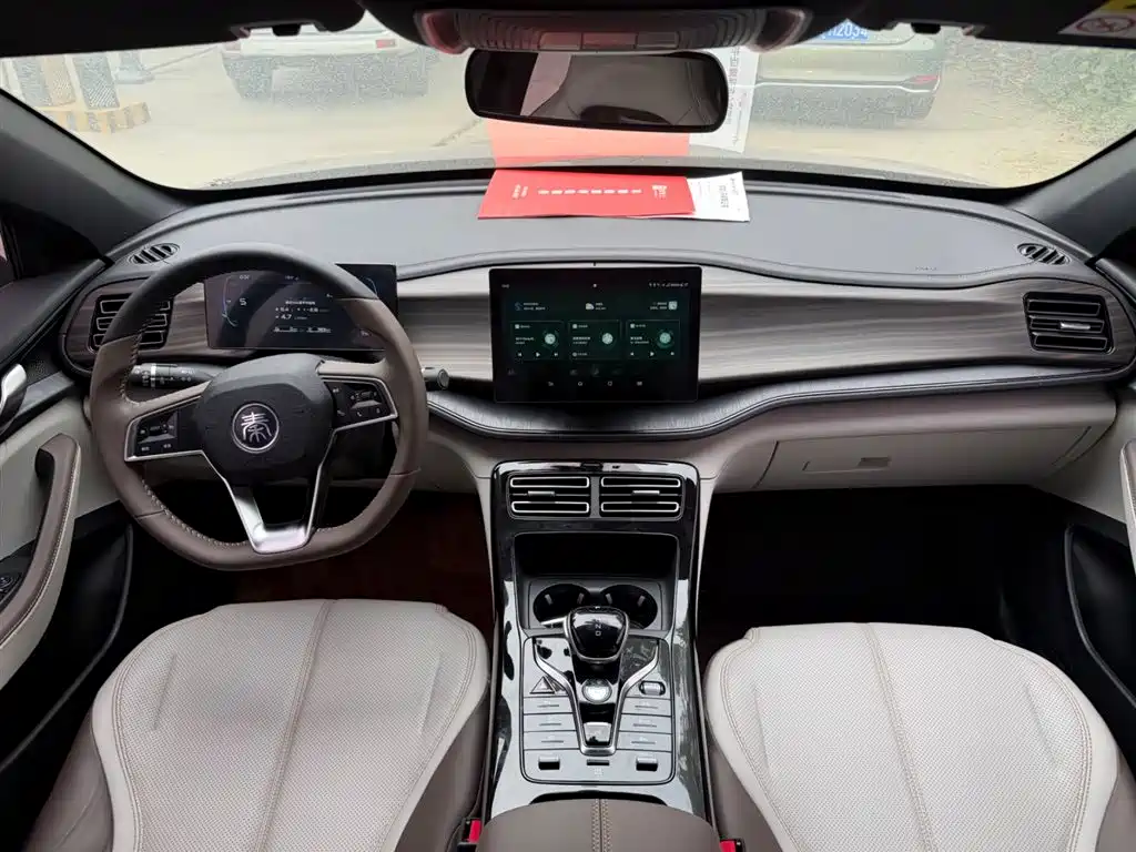 BYD Qin PLUS 2023 Champion Edition DM-i 55KM Leading фото 6