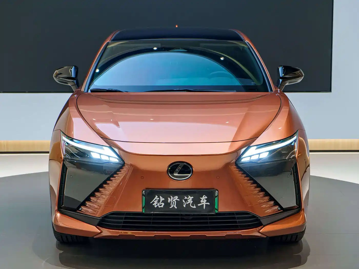 Lexus RZ 2023 450e 4WD Deluxe фото 2