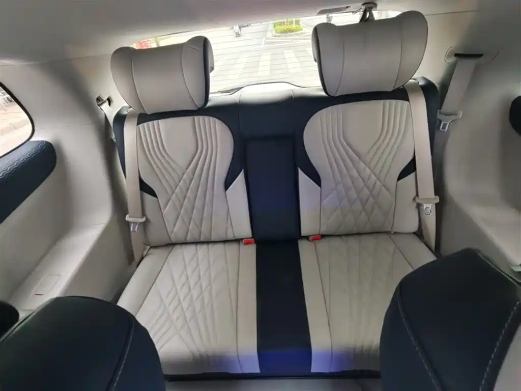 Buick GL8 2023 ES Landmaster Exclusive Harmony Edition фото 17