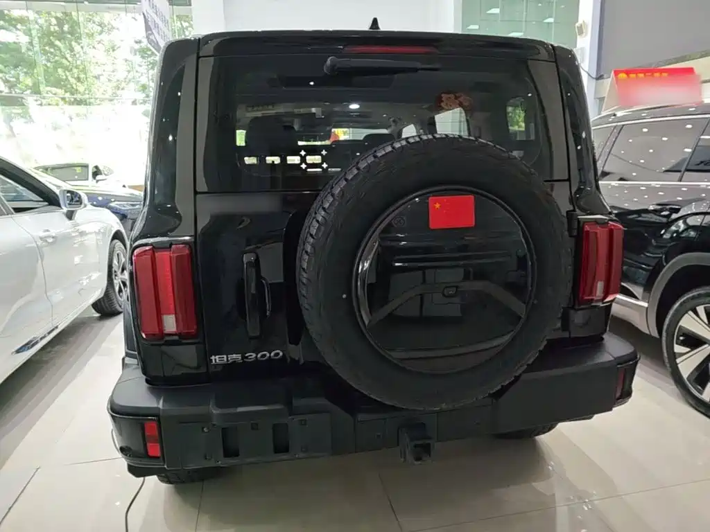 Tank 300 2025 2024 2.0T Explorer