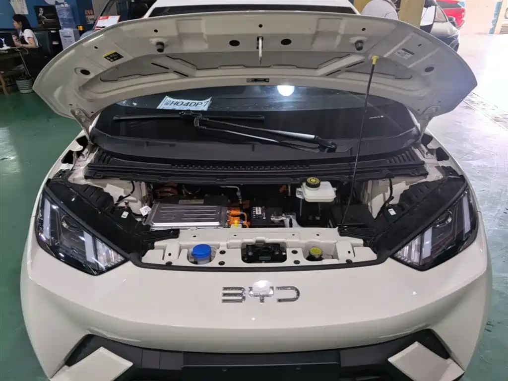 BYD Seagull 2025 305km Vitality фото 20