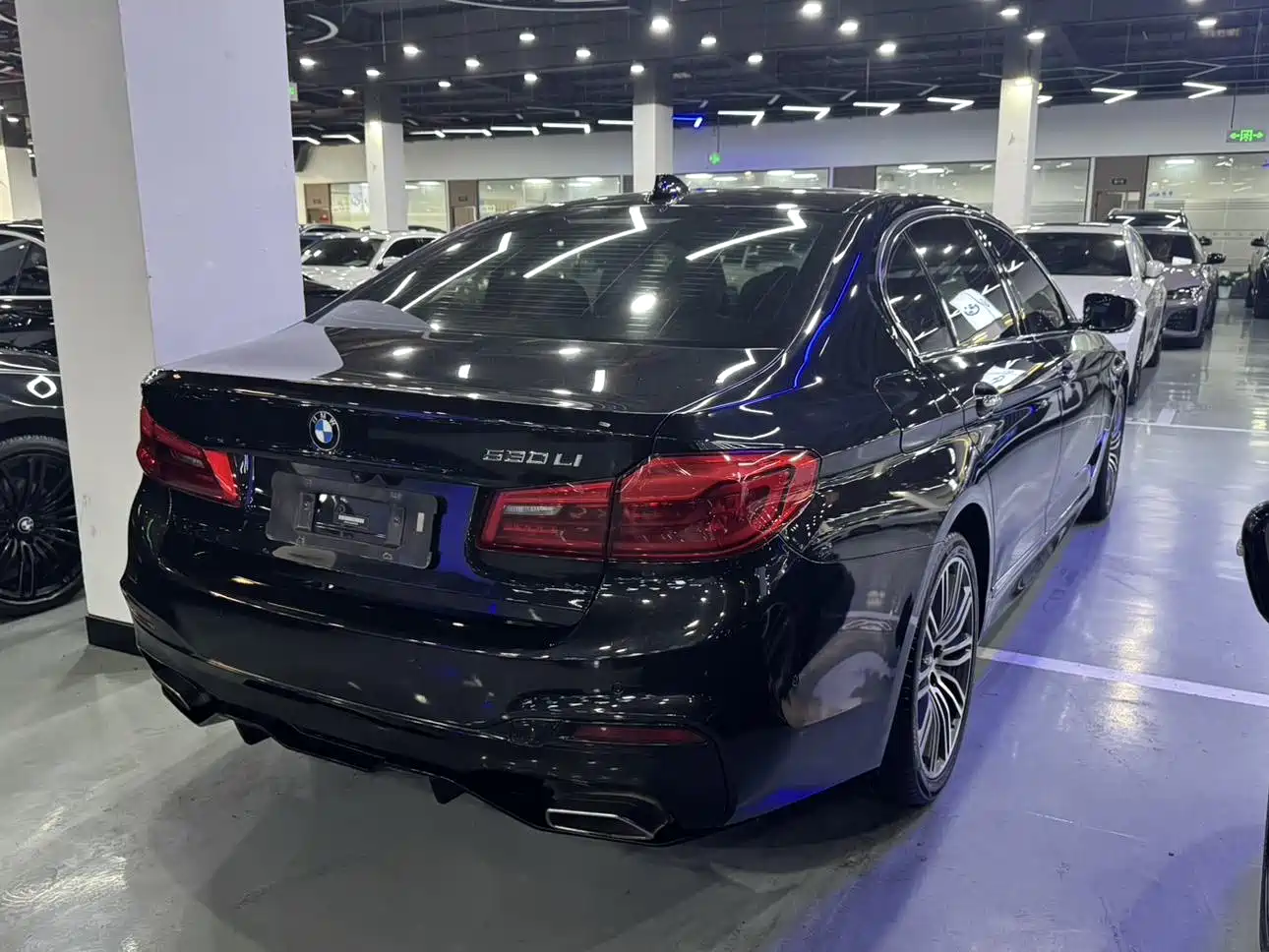 BMW 5 Series 2019 530Li Leading M Sport Package фото 15