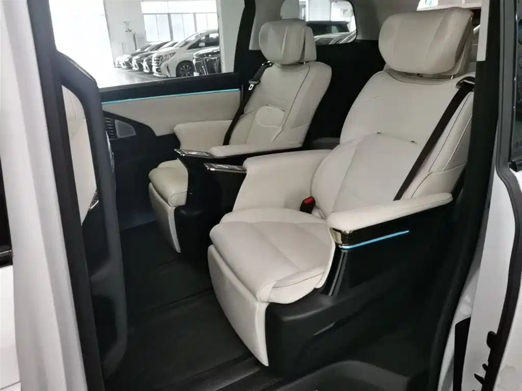 GAC Trumpchi Trumpchi E9 2023 E9 MAX фото 24