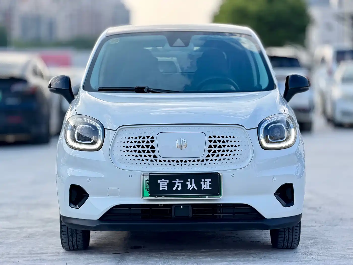 Leapmotor T03 2021 2021 400 Luxury Edition