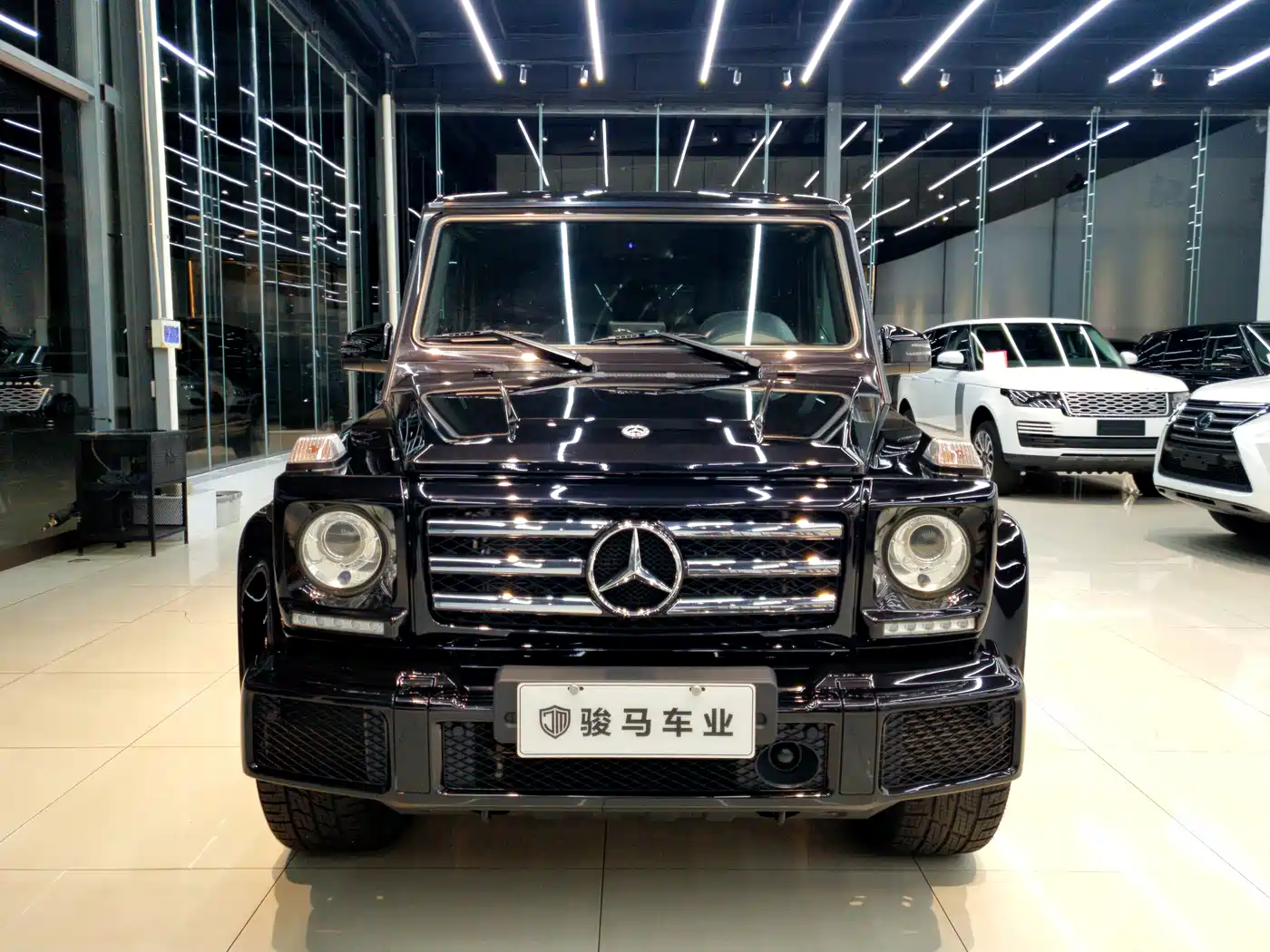 Mercedes-Benz G-Class 2018 G 500 designo Masterpiece Collector's Edition фото 2