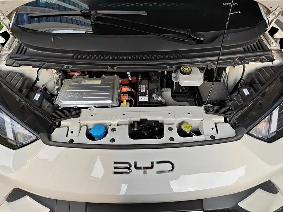 BYD Seagull 2024 Glory Edition 305km Vitality Edition фото 10