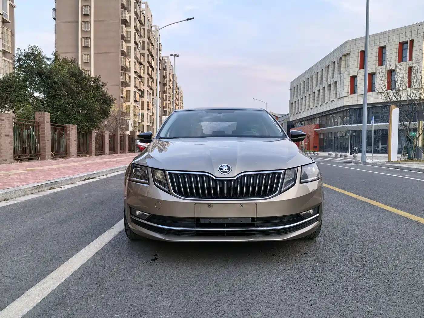 Škoda Octavia 2018 TSI280 DSG Luxury Edition фото 2