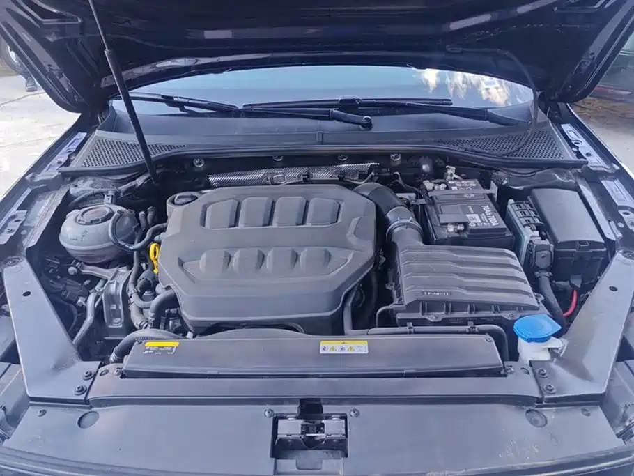 Volkswagen Magotan 2026 Model 30 Million Special Selection 380TSI DSG Luxury фото 10