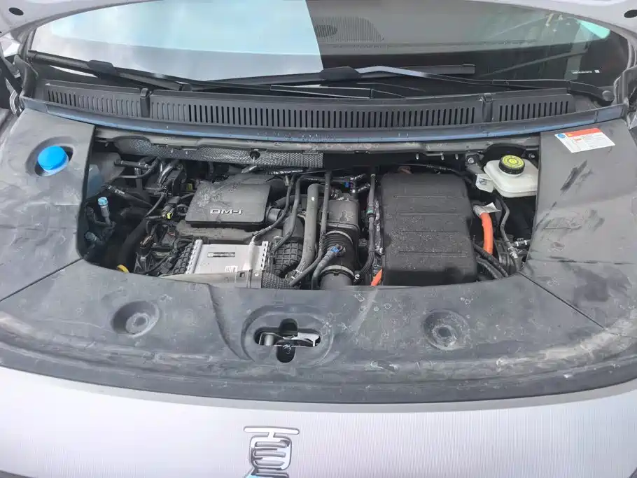 BYD Xia 2025 2025 DM-i 1.5T 100km Surpass Edition