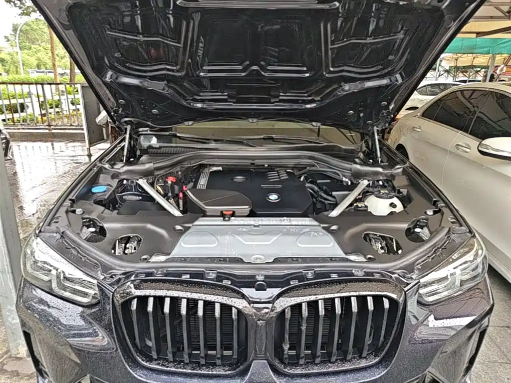 BMW X3 2022 xDrive30i Leading M Night Package фото 20