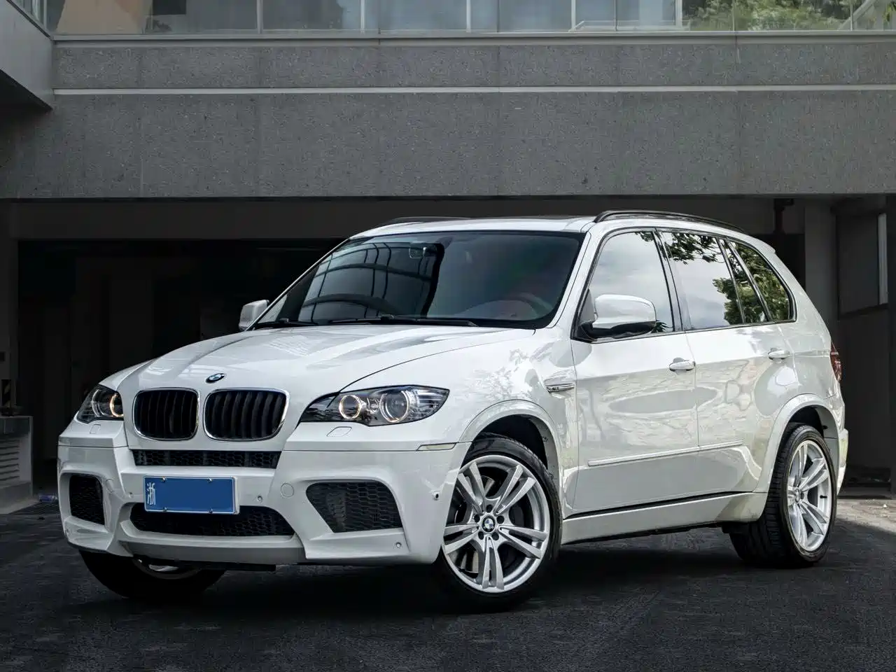 BMW X5 (Import) 2010 X5 M
