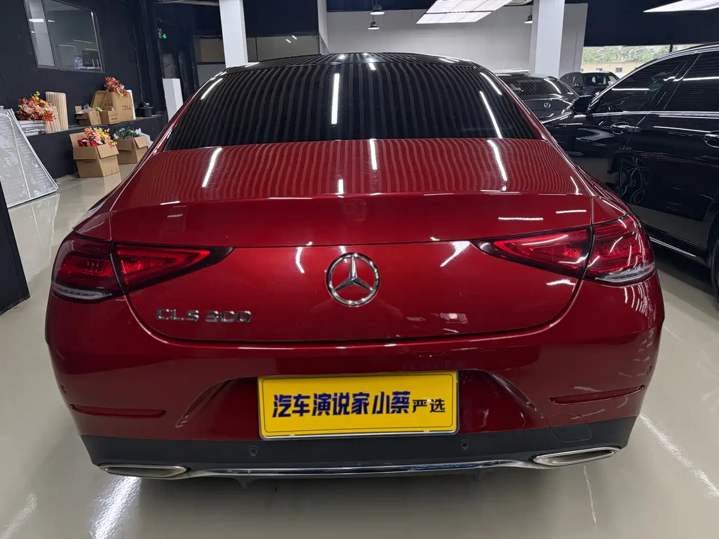 Mercedes-Benz CLS 2018 CLS 300 Luxury фото 12