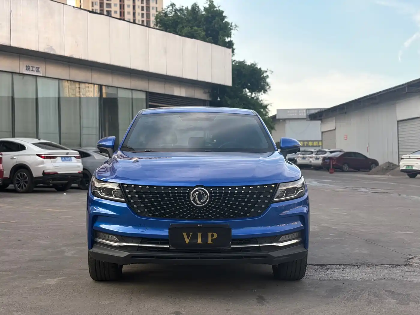 2019 Dongfeng Fengguang Fengguang ix5