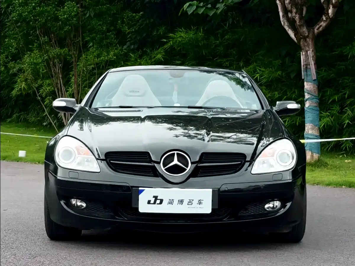 Mercedes-Benz SLK-Class 2004 SLK 200K фото 2