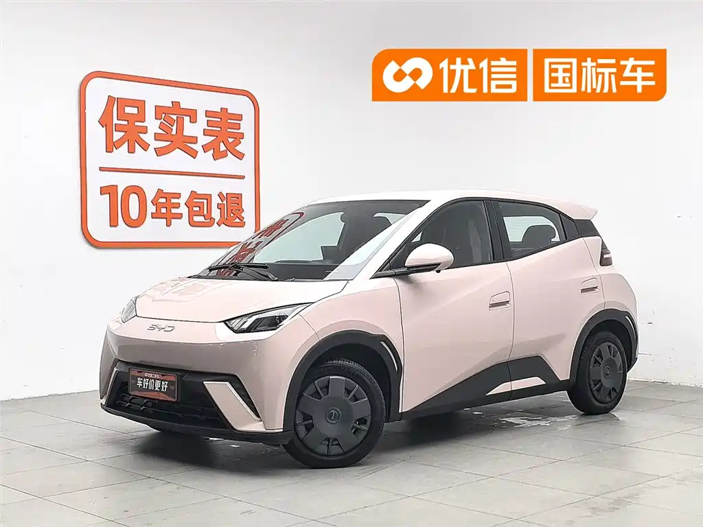 BYD Seagull 2025 305km Vitality
