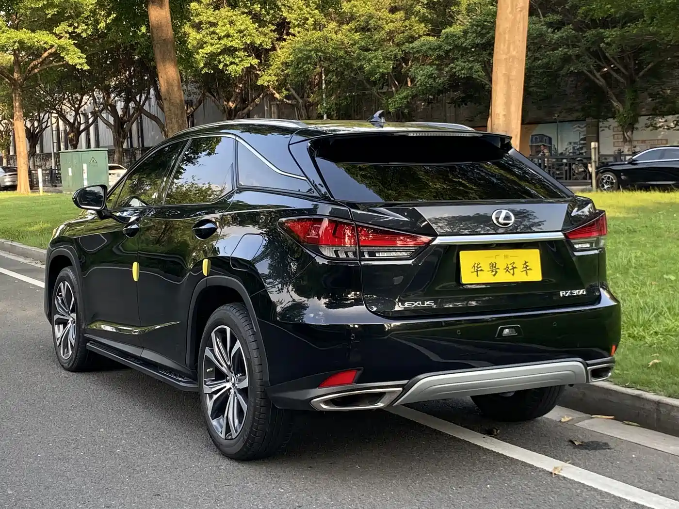 Фото 4 - Lexus RX