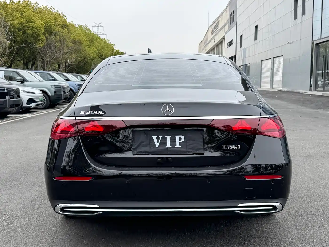 Mercedes-Benz E-Class 2025 E 300 L Luxury фото 14