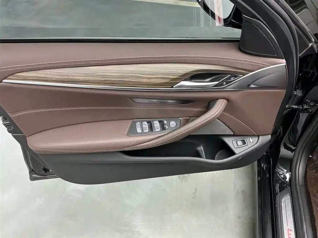 BMW 5 SERIES NEW ENERGY