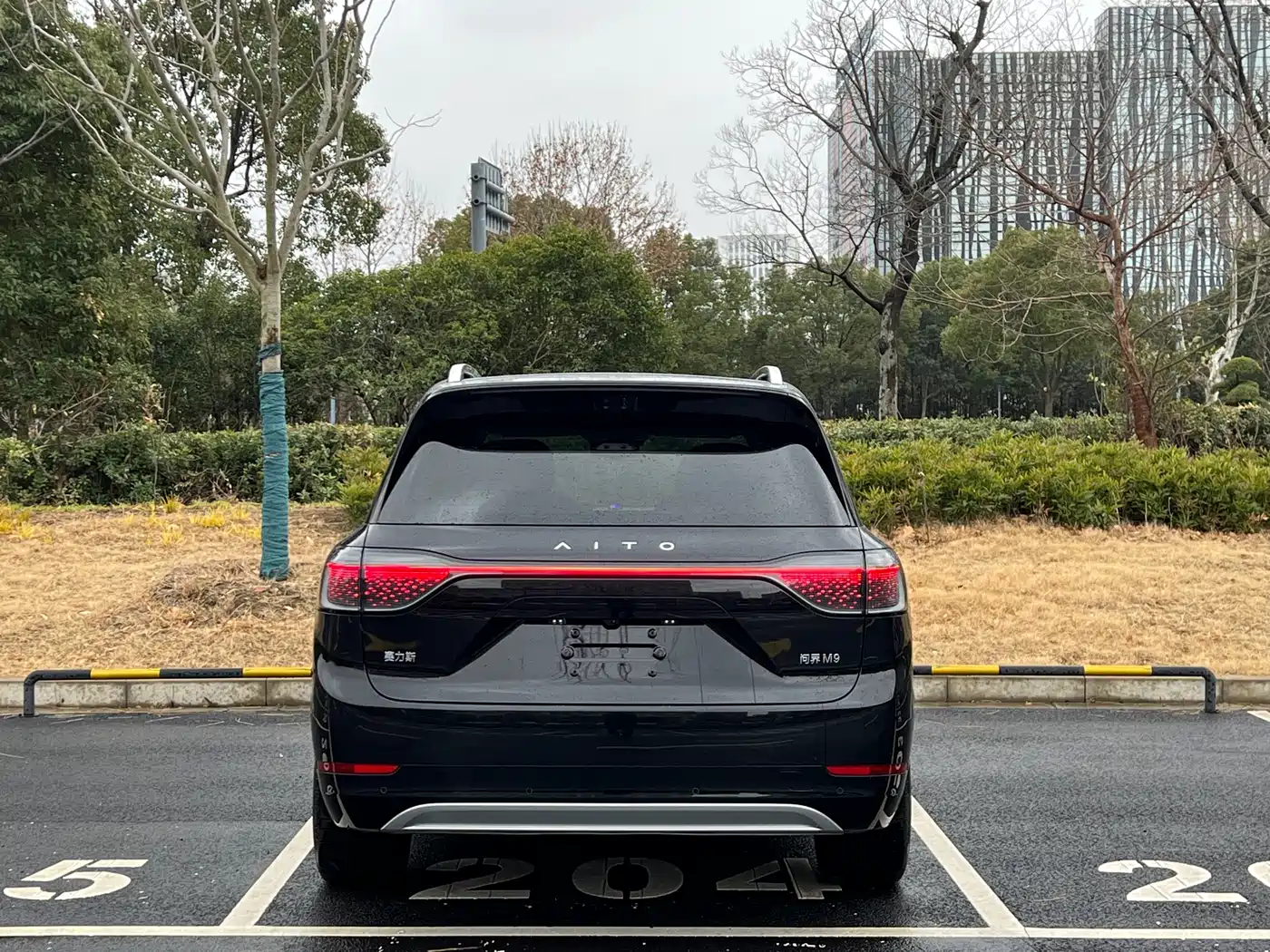 AITO Wenjie AITO M9 2025 Extended Range Ultra 52kWh 6-Seater фото 15