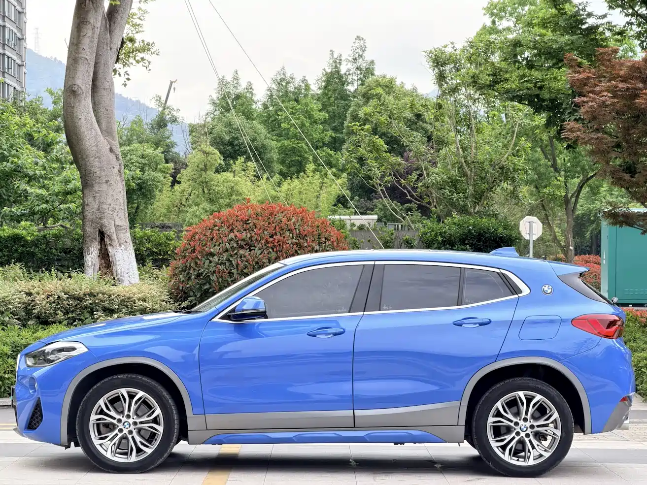 BMW X2 (Import) 2019 sDrive25i Luxury M Off-Road Package China VI фото 16
