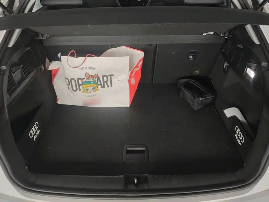 Audi Q2L e-tron 2020 2019 Q2L e-tron Pure Electric Smart Cool Edition