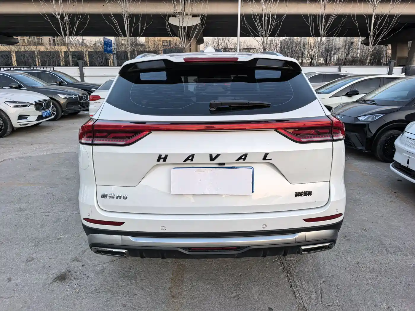 Haval H6 2023 National Trend Edition 1.5T Automatic Urban фото 9
