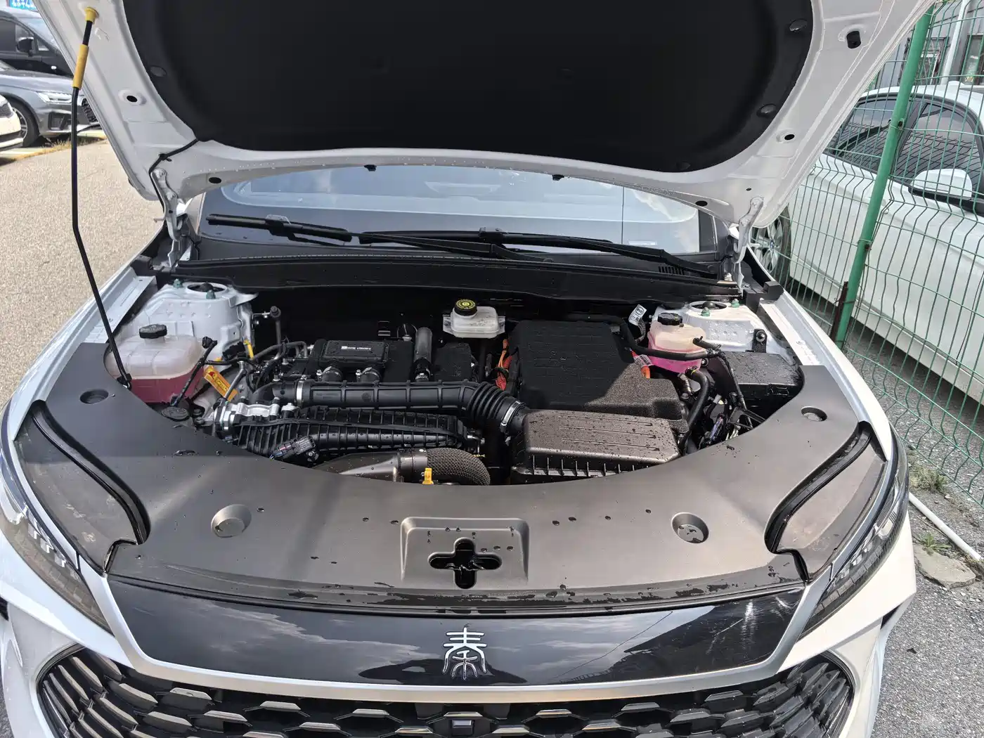 BYD Qin PLUS 2025 DM-i Smart Drive 55KM Leader фото 3