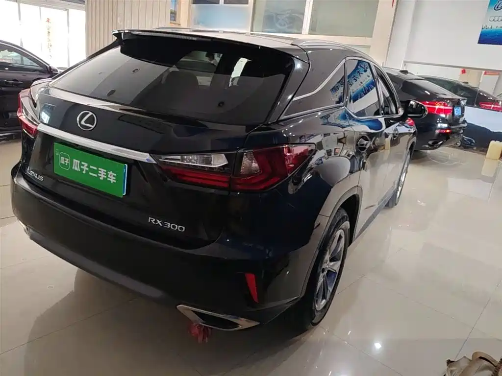 Lexus RX 2016 300 2WD Elite Edition (China V) фото 7