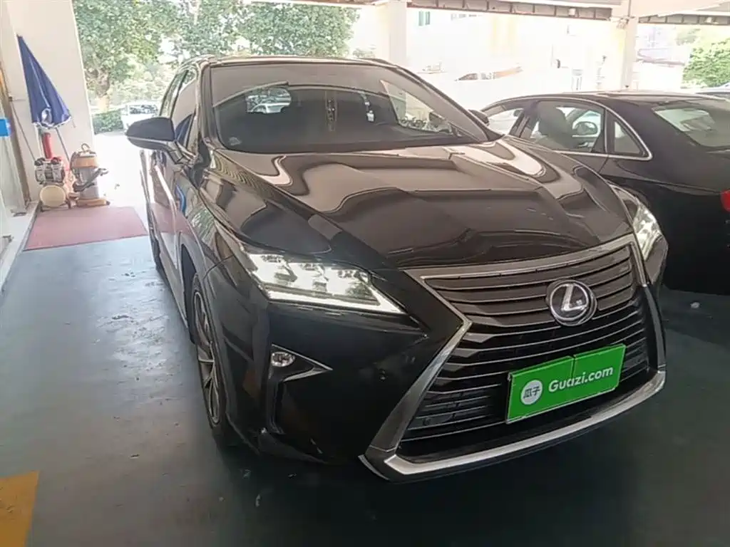 Lexus RX 2016 300 4WD Elegance Edition (China V) фото 22