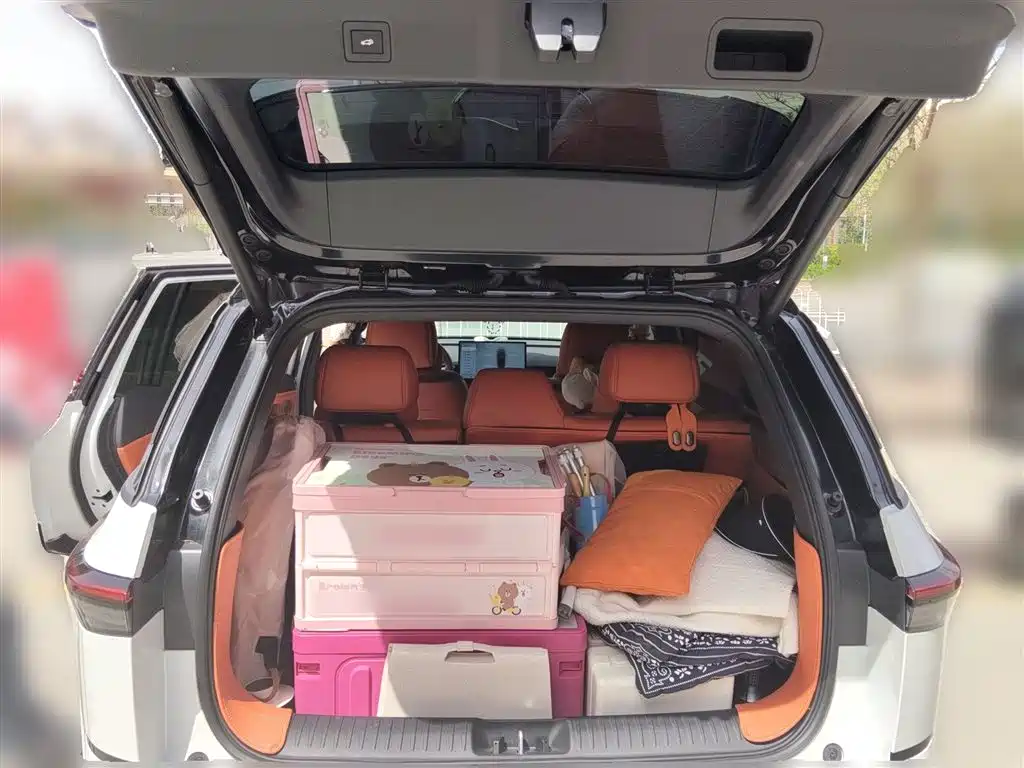 Toyota BoZhi 3X 2025 610 Max фото 16