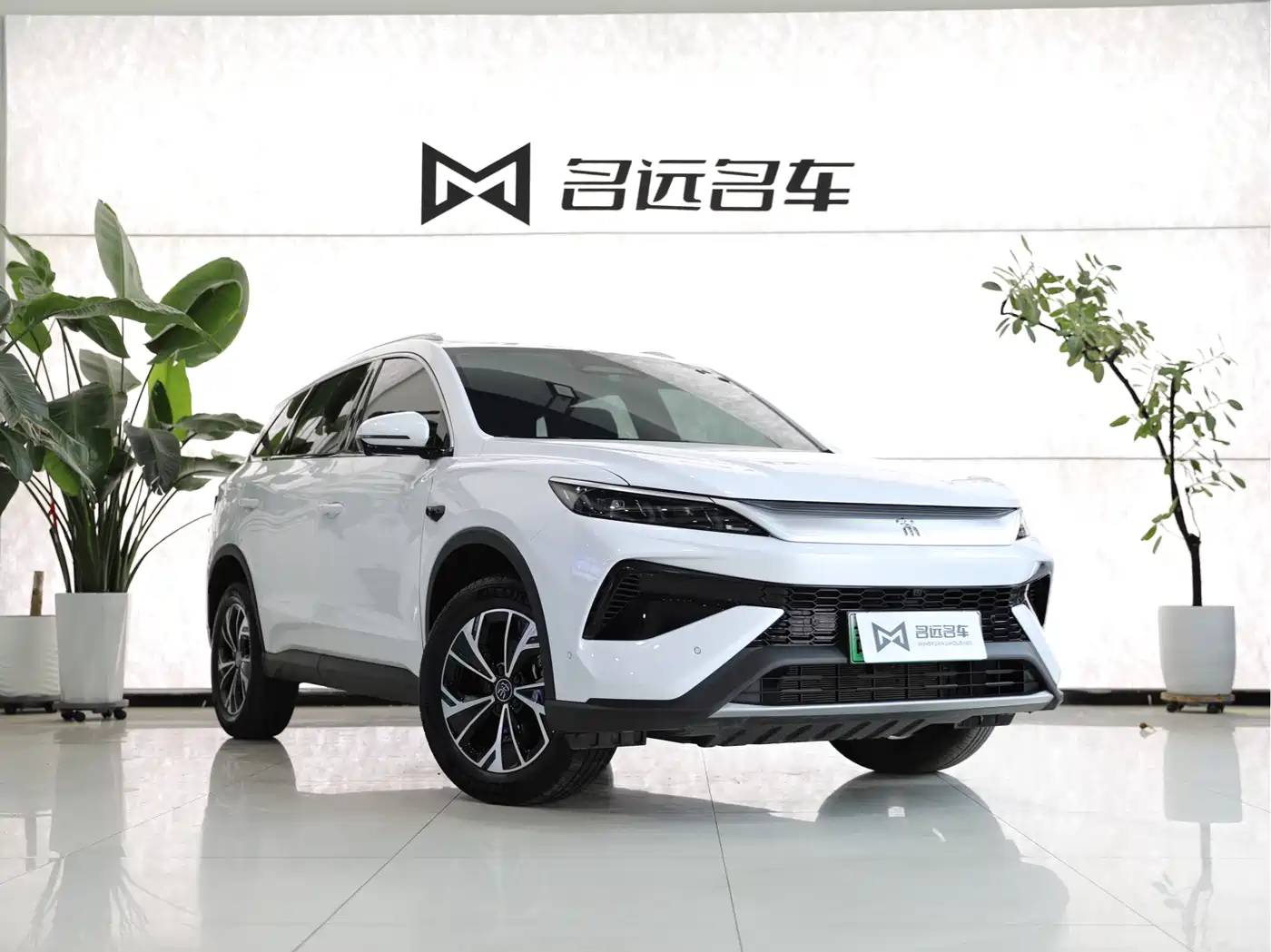 BYD Song Pro New Energy 2025 2nd Generation Smart Drive Edition DM-i 75KM Leading Type фото 3