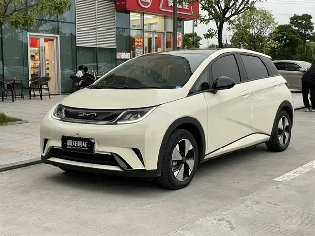 BYD Dolphin 420km, Стиль