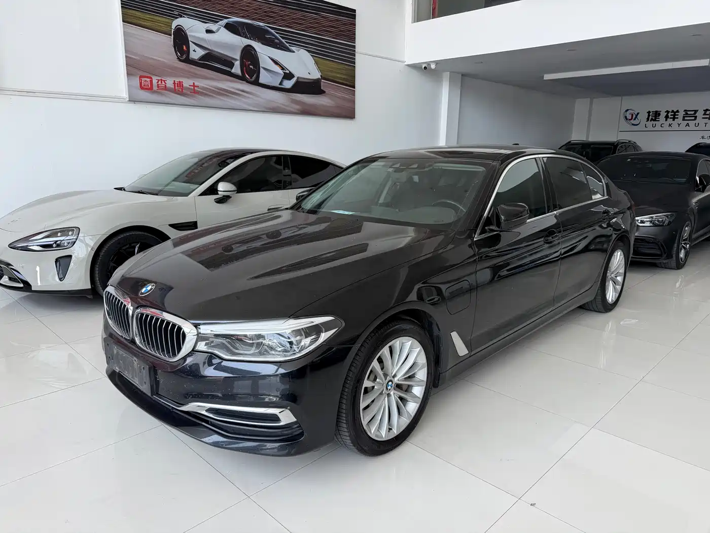 BMW 5 Series New Energy 2020 530Le Range Upgrade Luxury Package