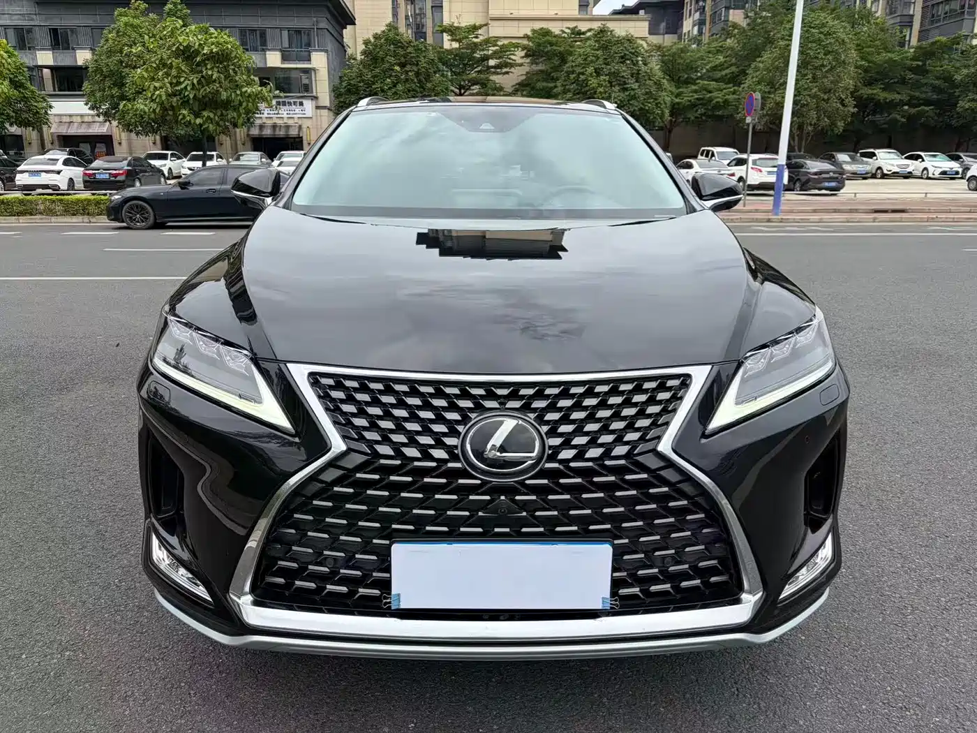 Lexus RX 2020 Facelift 300 AWD Elegance Edition фото 2