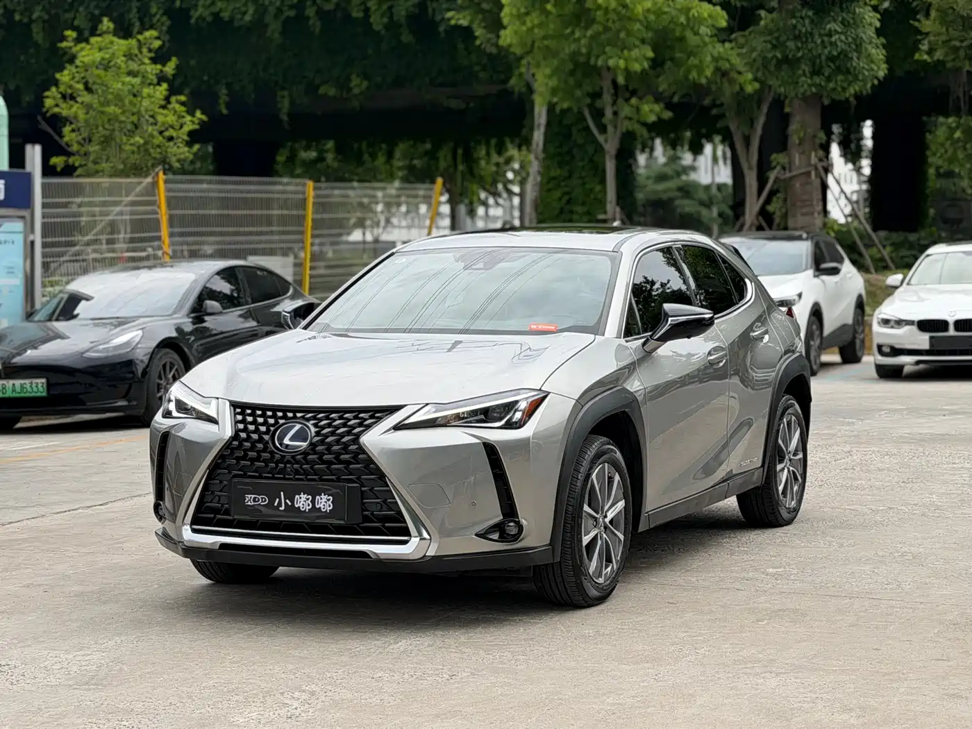 Lexus UX Electric 2020 300e Pure Yue Edition