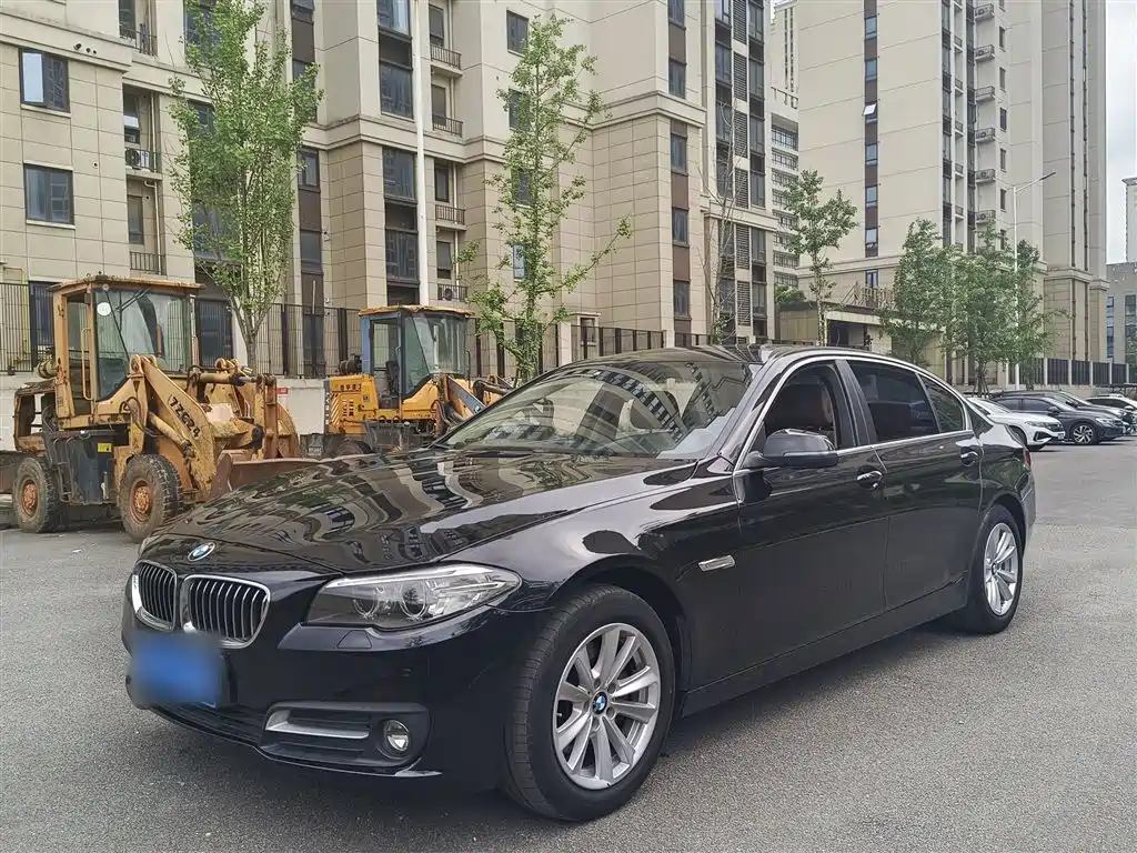 BMW 5 Series 2014 520Li Elegance фото 2