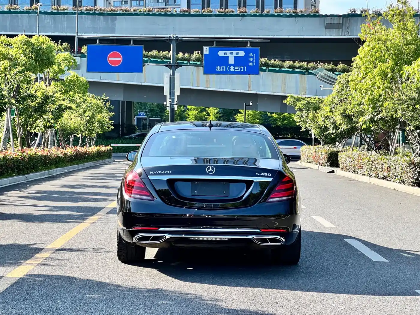 Mercedes-Benz Maybach S-Class 2020 S 450 4MATIC Collector's Edition фото 14