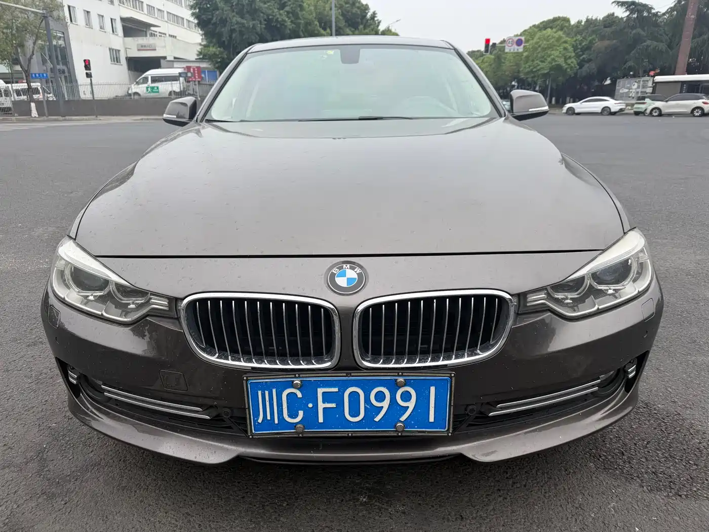 BMW 3 Series 2013 320Li Luxury Design Package фото 2