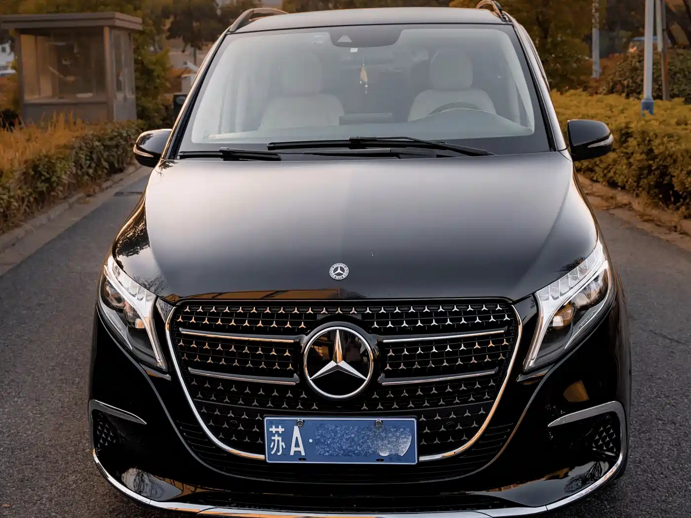Mercedes-Benz V-Class 2017 Model V 260 Pilot Edition фото 2