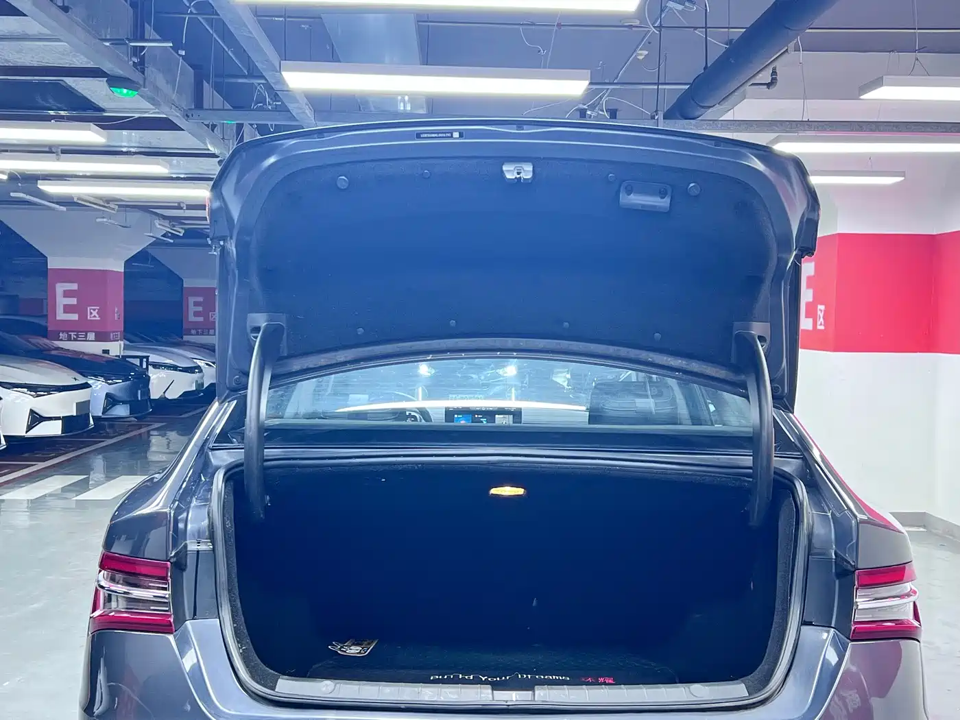 BYD Qin Pro New Energy 2019 EV Super Edition High Power Long Range Smart Connected Pioneer Type фото 8