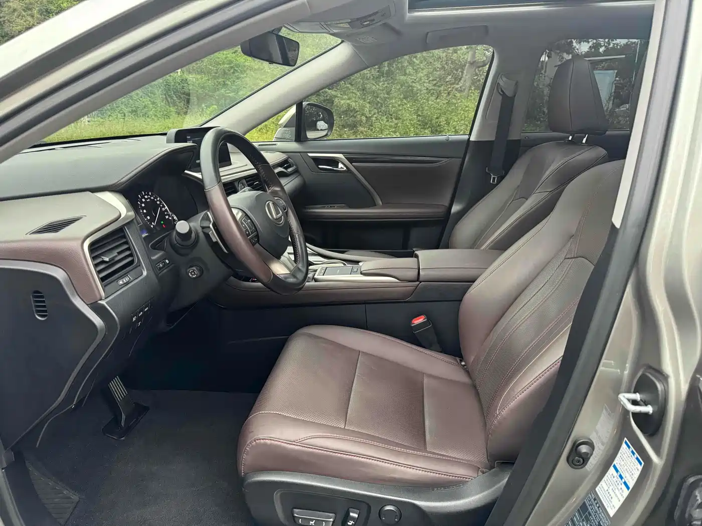 Lexus RX 2020 Facelift 300 AWD Elegance Edition фото 4