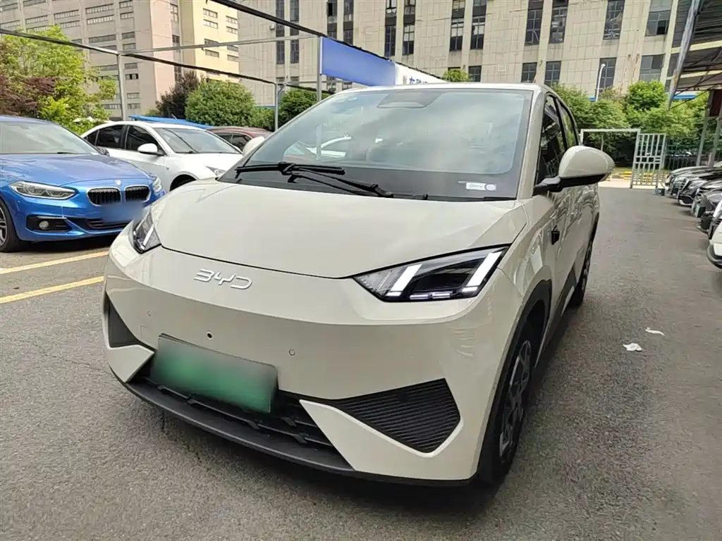 BYD Seagull 2025 Smart Drive Edition 305km Freedom Version фото 2