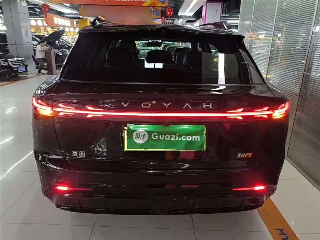 Voyah Auto Voyah Zhiyin 2024 4WD Global Edition фото 6